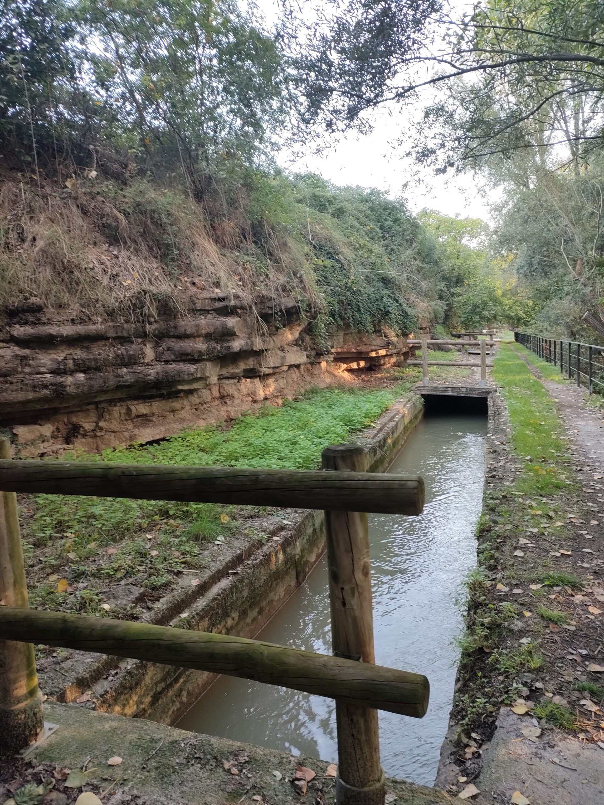 CAMINADES SUAUS – 83ª EDICIÓ