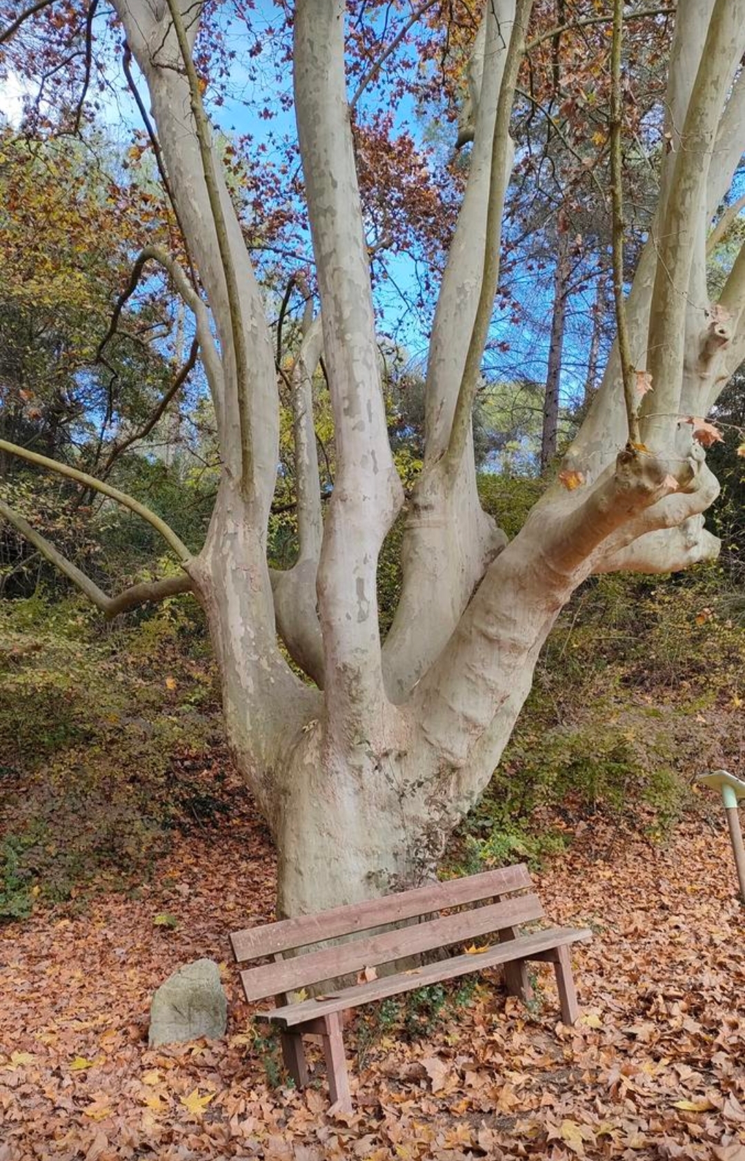 ANEM A LA MUNTANYA! – 112ª EDICIÓ