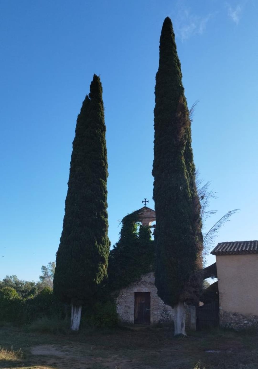 CAMINADES SUAUS – 86ª EDICIÓ