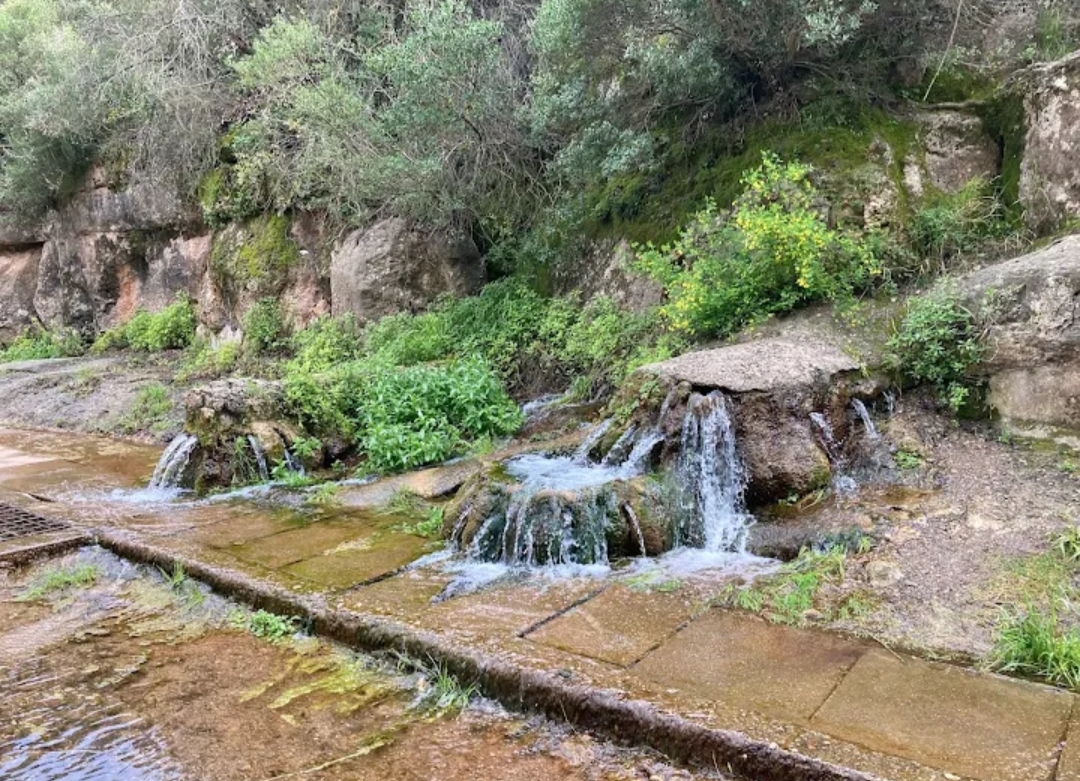 ANEM A LA MUNTANYA! – 113ª EDICIÓ