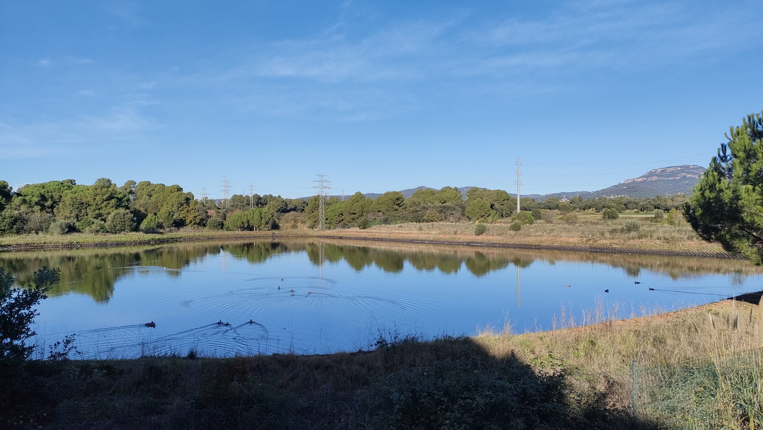 CAMINADES SUAUS – 87ª EDICIÓ   (AJORNADA!)