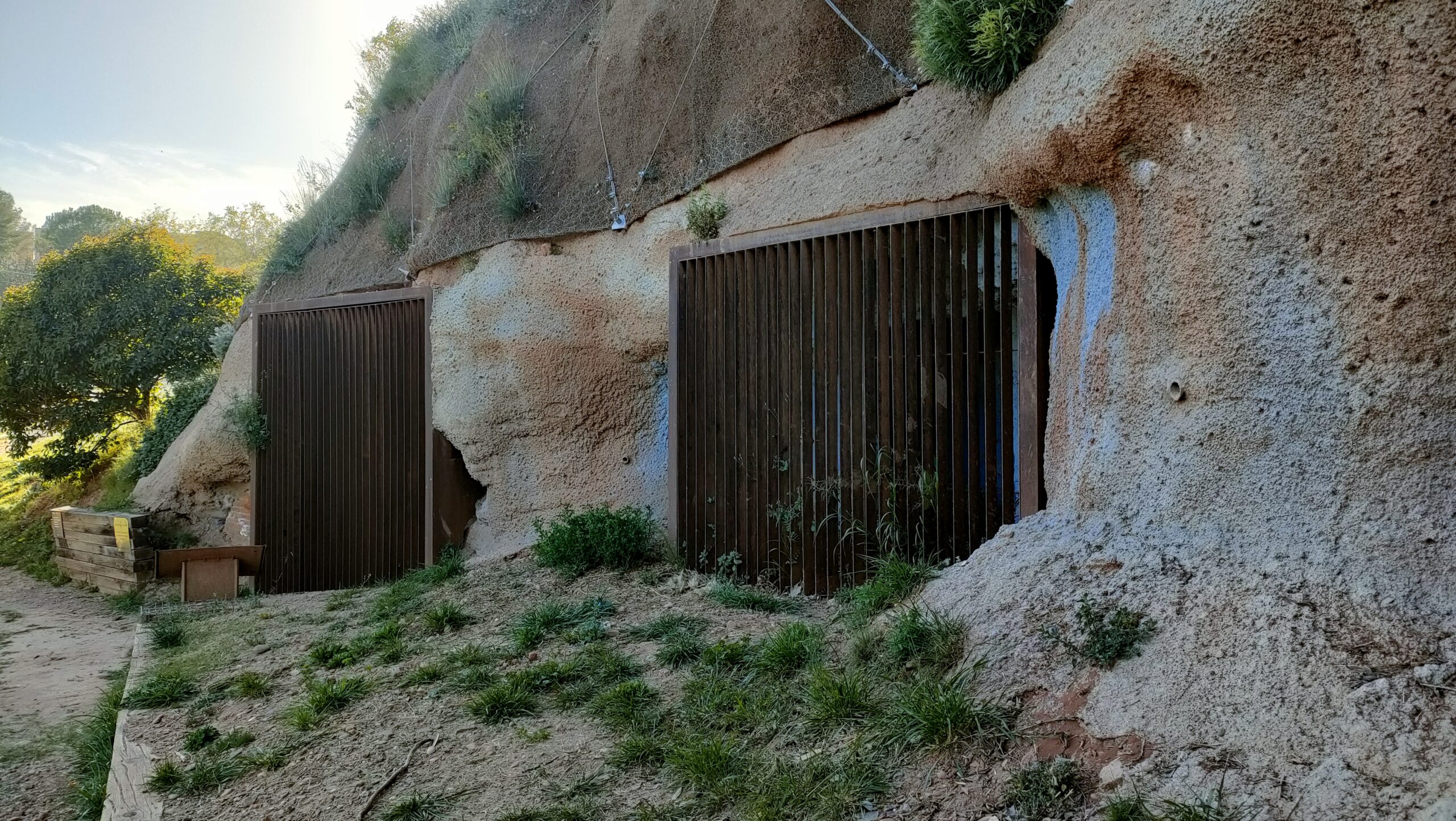 CAMINADES SUAUS – 88ª EDICIÓ